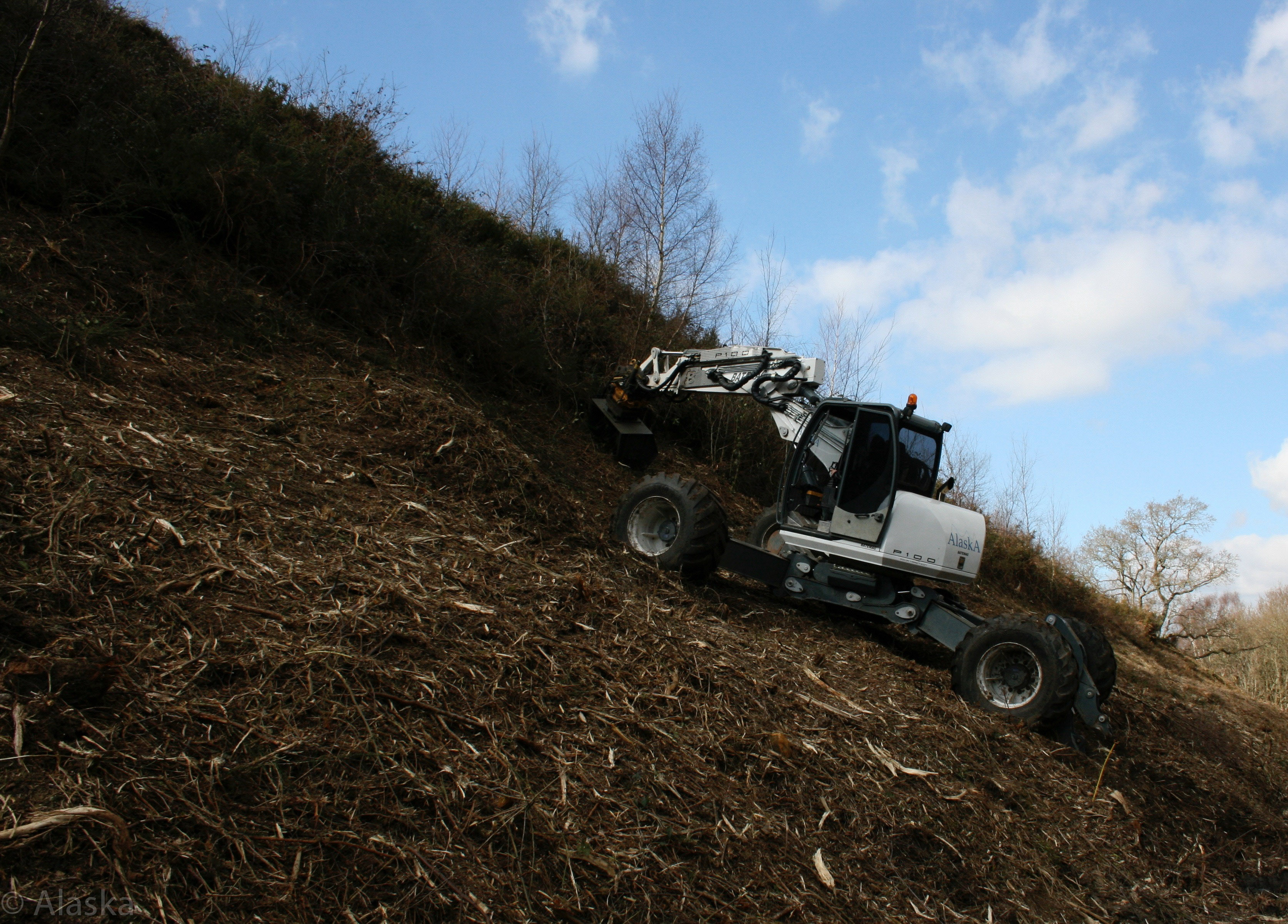 Scrubclearanceandvegitationcontrol